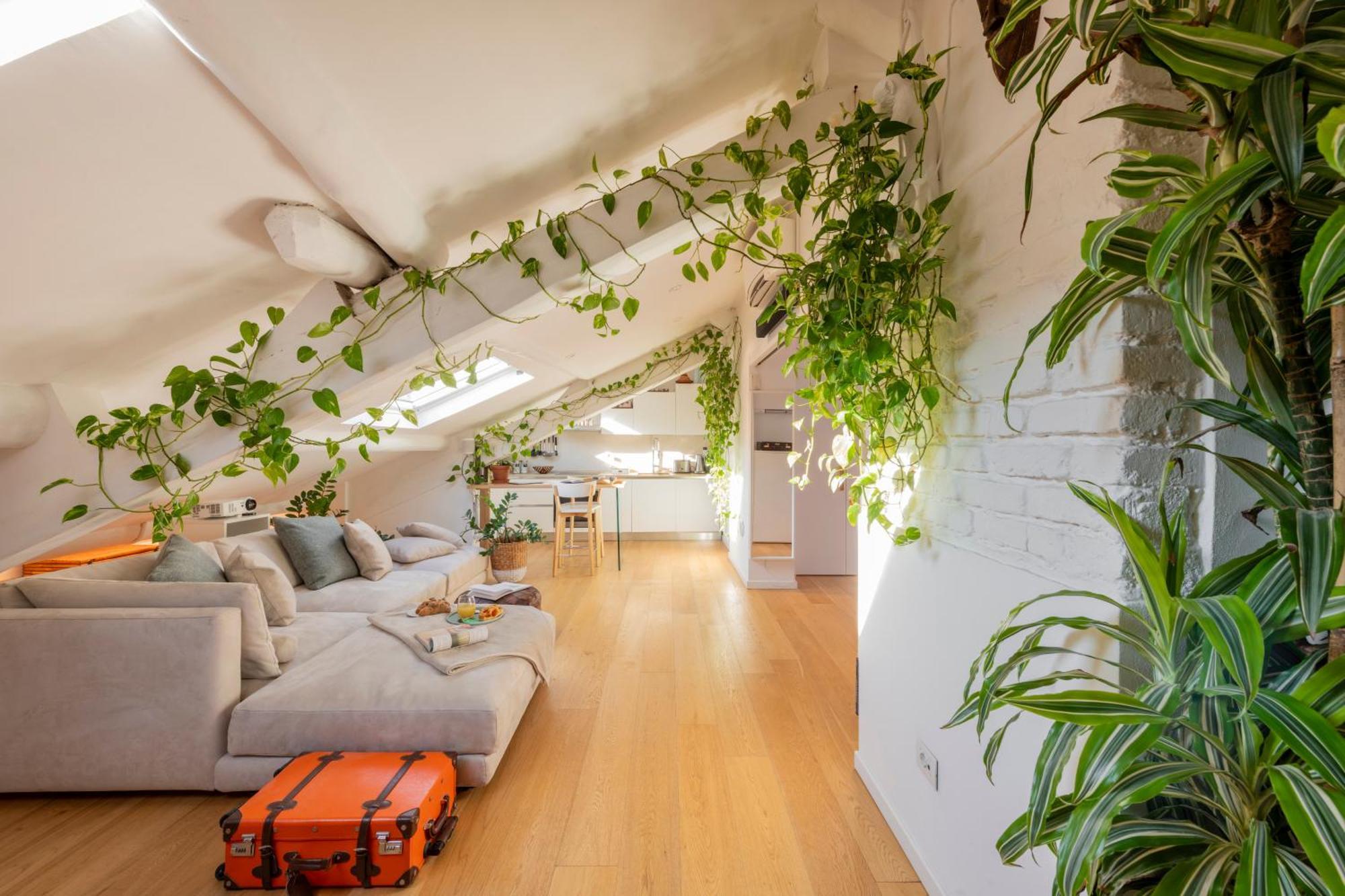 Bright Penthouse Attic In The Heart Of Appartement