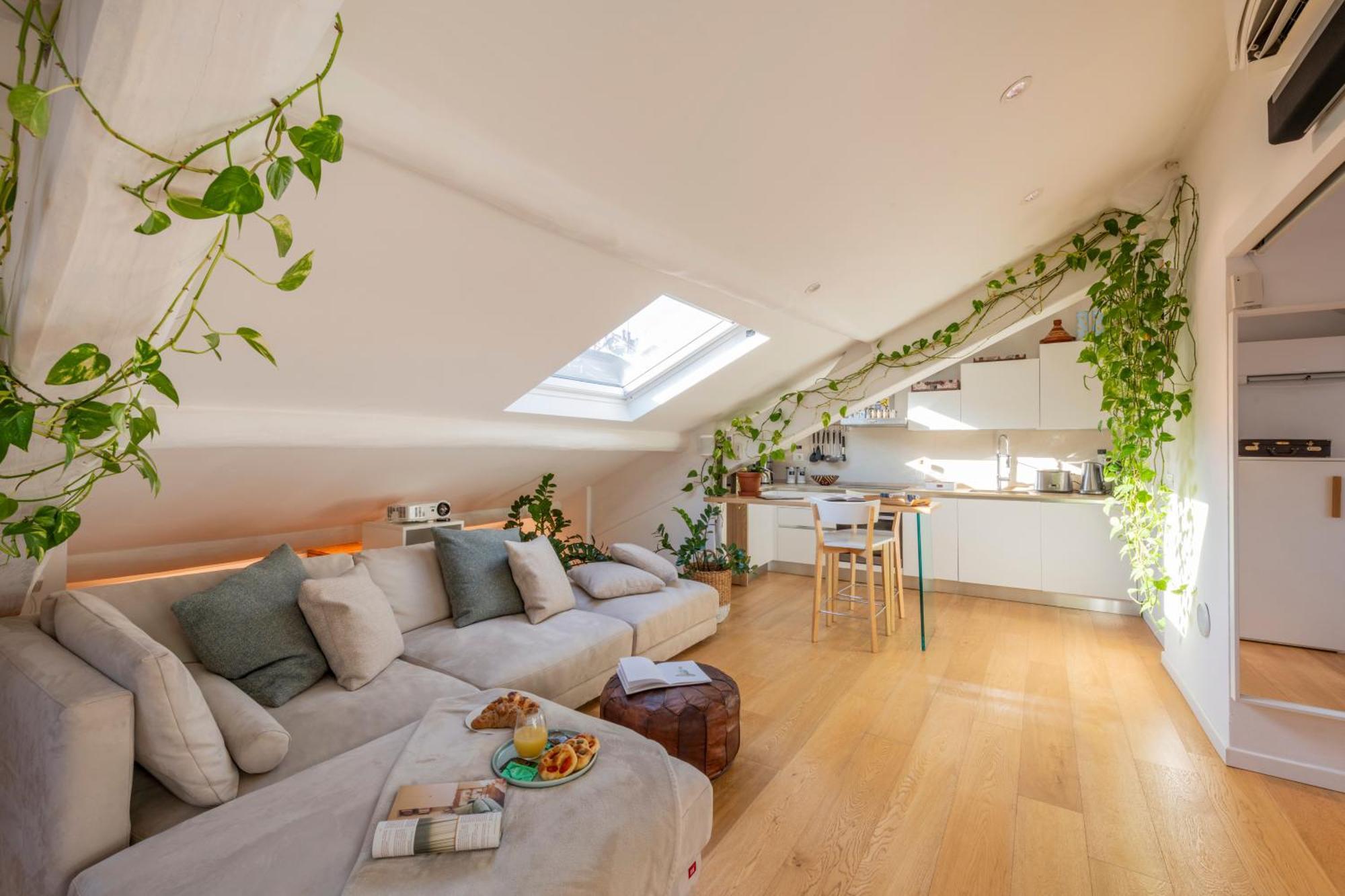Bright Penthouse Attic In The Heart Of Appartement